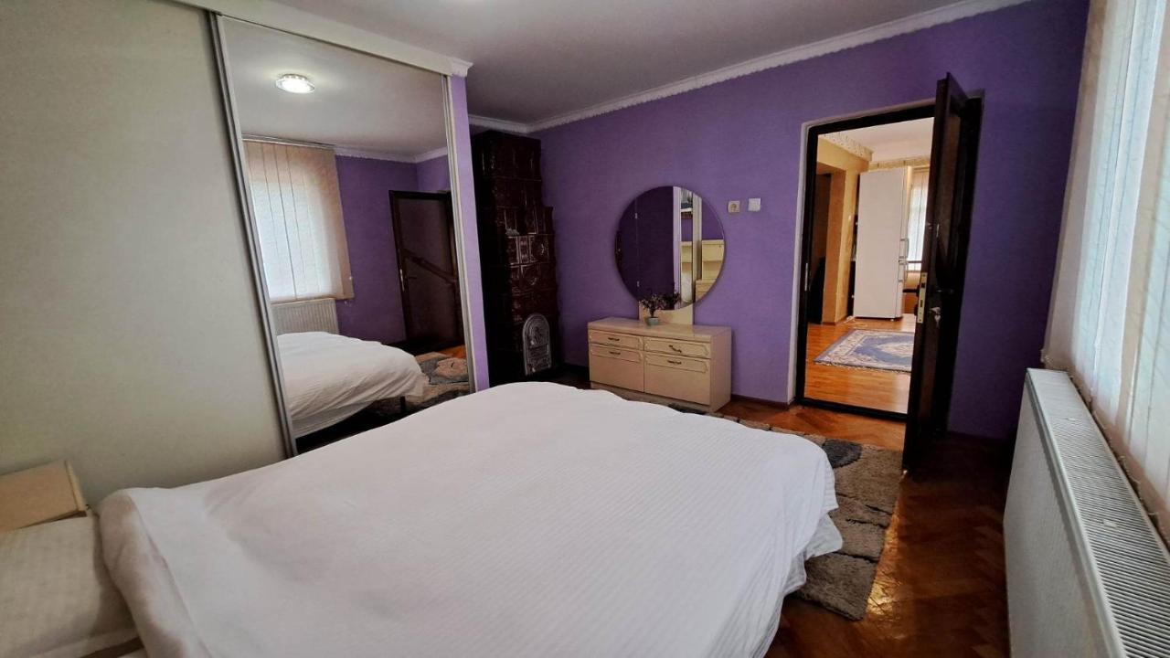 Pensiunea Burciu Salcioara  Exterior foto