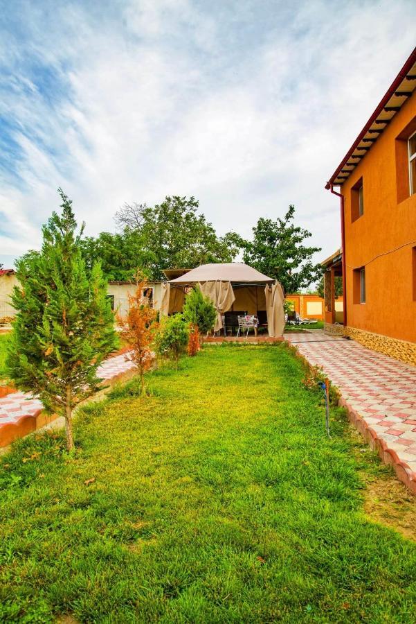Pensiunea Burciu Salcioara  Exterior foto